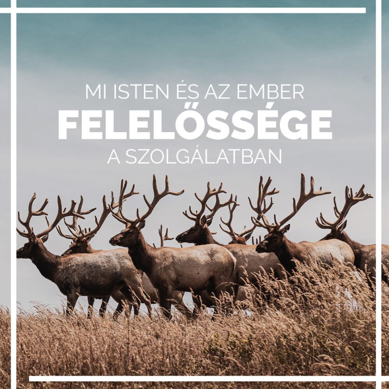 Mi Isten és az ember felelőssége a&nbsp;szolgálatban?