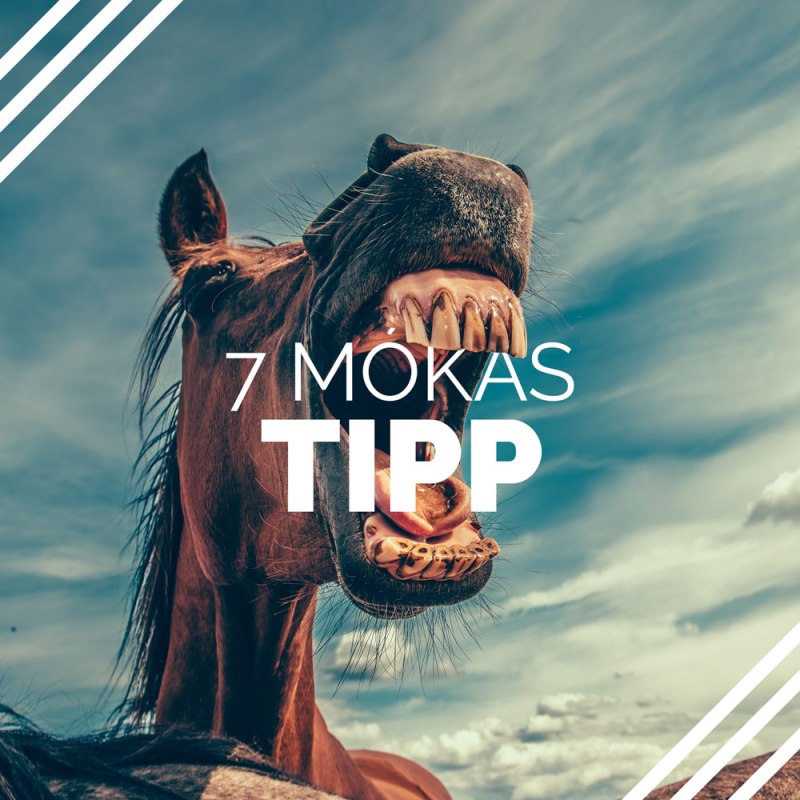 7 mókás tipp a változatos „karantén&nbsp;ifikhez”