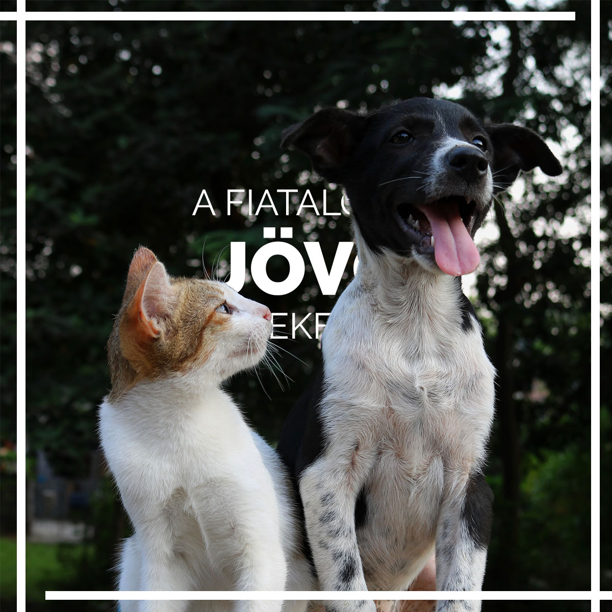 “A fiatalok a jövő gyülekezete.” Tényleg így van&nbsp;ez?