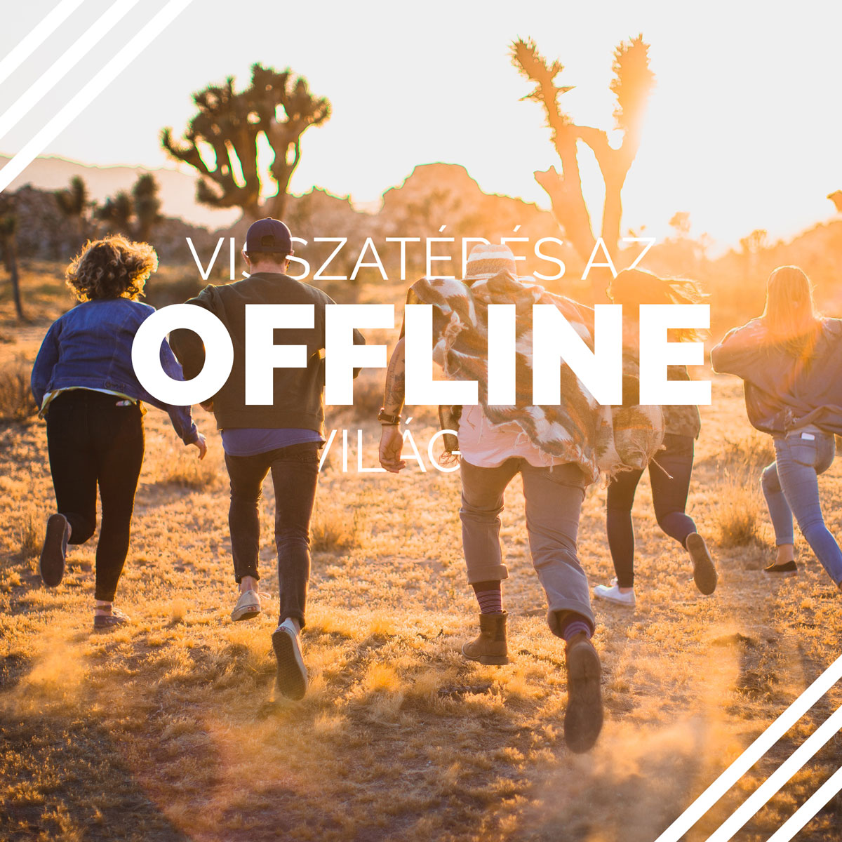 Visszatérés az offline&nbsp;világba